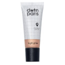Dwtn Paris Highlighter