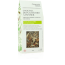 Cocktail de Plantes Bio à Infuser Antioxydant au Rooibos