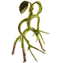 Fantastic Beasts Bendable Bowtruckle