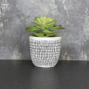 Candlelight Succulent in Ceramic Pot with Dashes - Black/White