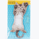 Cat Hanging Notes