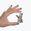 Action Cat Fridge Magnets