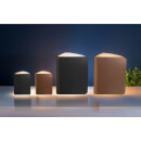 Gingko Leather Smart Book Light - Mini