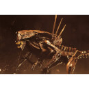 NECA Aliens - Ultra Deluxe Boxed Figure - Alien Resurrection Queen