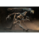 NECA Aliens - Ultra Deluxe Boxed Figure - Alien Resurrection Queen