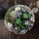 Terrarium Workshop with Prosecco