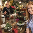 Terrarium Workshop with Prosecco