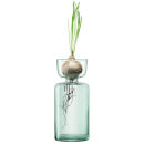 LSA Canopy Clear Vase/Bulb Planter - 20cm