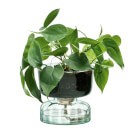 LSA Canopy Clear Self Watering Planter - 13cm