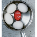 Eddingtons Egg Perfect Colour Changing Egg Timer - Red