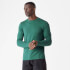 Luxe Classic Long Sleeve Crew - Pine - XS - Pine