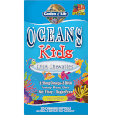 Oceans Kids' DHA Chewables Omega-3 Softgels - Berry Lime - 120 Softgels