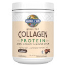 Коллагеновый протеин Collagen Protein — Шоколад — 588 г
