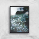 in homeware x Charlotte Greedy Winter Blossom Giclee Art Print