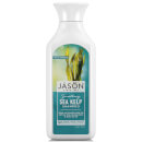 Shampoo JASON Smoothing Sea Kelp (473ml)