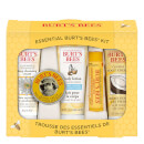 Burt's Bees Essentials Kit (5 Products)