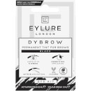 Eylure Pro-Brow Dybrow -kestoväri kulmakarvoille, Black