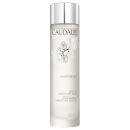 Caudalie Vinoperfect Concentrated Brightening Essence 5.2oz Caudalie Vinoperfect Concentrated Brightening Essence 5.2oz