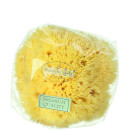 Hydrea London Honeycomb Sea Sponge, storlek 10–11,5 cm