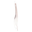brushworks Traditional Tweezers brushworks Traditional Tweezers