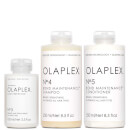 Olaplex Take Home Treatment Kit