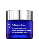 Dr Dennis Gross Skincare B3Adaptive Superfoods Stress Repair Face Cream 60ml