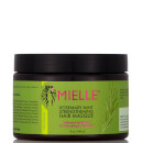 Mielle Organics Rosemary Mint Hair Masque Mielle Organics Rosemary Mint Hair Masque
