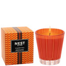NEST Fragrances Pumpkin Chai Classic Candle 8.1 oz