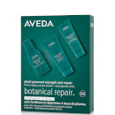 Aveda Exclusive Botanical Repair Strengthening Trio
