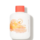 HoliFrog Sunapee Sacred-C Powder Wash (2.5 oz.) HoliFrog Sunapee Sacred-C Powder Wash (2.5 oz.)