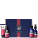 Radiance Wild Rose Body Collection Radiance Wild Rose Body Collection