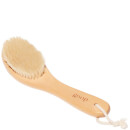goop G.Tox Ultimate Dry Brush goop G.Tox Ultimate Dry Brush