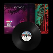 Doves - The Universal Want 2LP