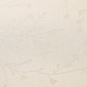 24o Y76ibnffmm This modern floral design is juxtaposed by a find great prices today on superfresco fiorella taupe wallpaper and painting & decorating. https www homebase co uk superfresco fiorella grey wallpaper 12829512 html