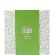 Bulldog Body Collection