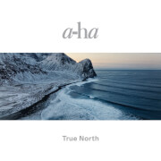 a-ha - True North Vinyl