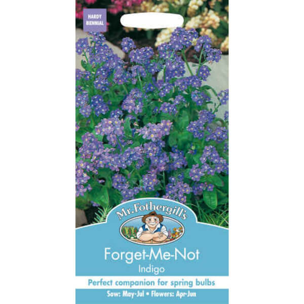 Mr Fothergill S Forget Me Not Indigo Myosotis Sylvatica Seeds Homebase Mr Fothergill S Forget Me Not Indigo Myosotis Sylvatica Seeds Homebase