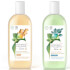 Dove Powered By Plants Pflegedusche Eucalyptus / Ginger Dove Powered By Plants Pflegedusche Eucalyptus / Ginger