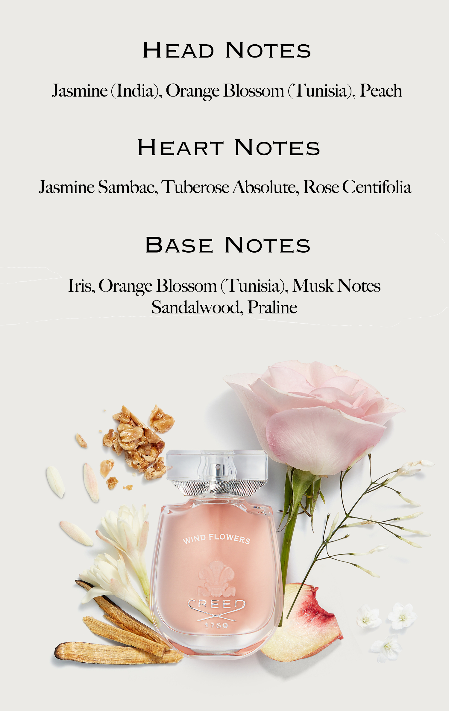 Head notes. Jasmine (India), Orange Blossom (Tunisia), Peach. Heart Notes. Jasmine Sambac, Tuberose Absolute, Rose Centifolia. Base Notes. Irish, Orange Blossom (Tunisia), Musk notes Sandalwood, Praline.