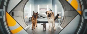 Two Dogs And A Cat In A Tunnel Doorway Leading To High-Teach Lab