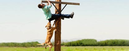 Johnny Knoxville Hinging From A Wooden Post With A Dog Biting Him And Hanging From His Trousers