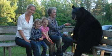 Gordon Buchanan, His Wife And Two Children Sat With An American Black Bear