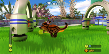 A small, tiger-like animal, running through an obstacle course