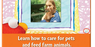 Learn to look after pets and feed farm animals