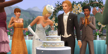 A wedding, as the couple cuts the cake