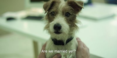 A Dog With Subtitles Saying 'Are We Married Yet?'