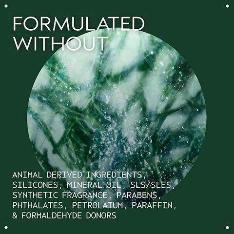 Image 2 - A dark green background features an abstract circular green and white texture in the center with text that reads FORMULATED WITHOUT ANIMAL DERIVED INGREDIENTS, SILICONES, MINERAL OIL, SLS/SLES, SYNTHETIC FRAGRANCE, PARABENS, PHTHALATES, PETROLATUM, PARAFFIN, & FORMALDEHYDE DONORS. Image 3 - A white, oval-shaped dab of translucent gel or cream on a white background, surrounded by a dark green border. Image 4 - A green Aveda Botanical Kinetics Toning Mist spray bottle with a white cap is displayed against a shimmering green background, featuring the text AVEDA, THE ART AND SCIENCE OF PURE FLOWER AND PLANT ESSENCES, botanical kinetics™, toning mist, embrun tonifiant, and a flower logo on the bottle, and the large black text HYDRATES, BALANCES, AND DISSOLVES SURFACE OIL ON NORMAL TO OILY SKIN next to it. Image 5 - Three green Aveda botanical kinetics skincare products, a pump bottle, a spray bottle, and a jar, are displayed against a sparkly green background, with text overlaid that reads: HOW TO USE, 01 CLEANSE Botanical Kinetics Purifying Gel Cleanser, 02 TREAT Botanical Kinetics Toning Mist, 03 MOISTURIZE Botanical Kinetics Hydrating Rich Crème. Image 6 - A close-up of dark green tropical leaves and a red stalk displays three white certification logos: a V symbol surrounded by 100% VEGAN text, a B Corporation logo with text Certified B Corporation, and the Leaping Bunny Cruelty Free International logo with text Cruelty Free INTERNATIONAL.