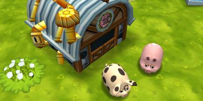 Two pigs outside a small building
