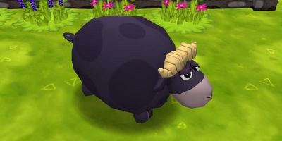 A chubby-looking goat