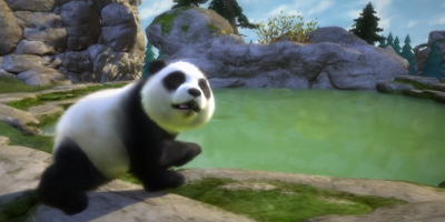 A panda playing by some water
